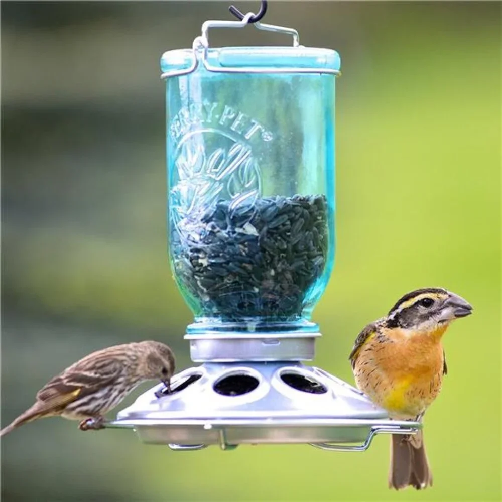 Mason Jar Wild Bird Feeder